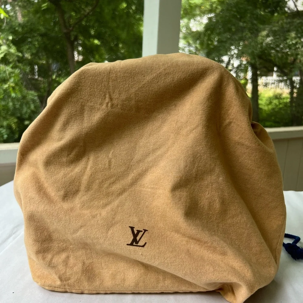 Louis Vuitton Danube MM Crossbody - Picture 13 of 15